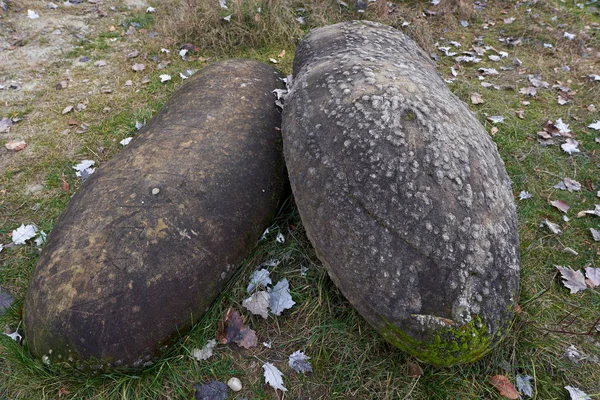 Ιζηματογενή Πετρώματα Σκυροδέματα Στο Φυσικό Πάρκο Της Ρουμανίας — Φωτογραφία Αρχείου