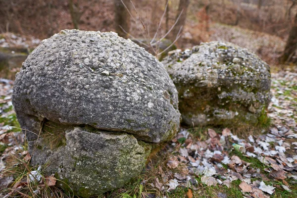 Sedimentaire Rotsen Beton Natuurpark Roemenië — Stockfoto