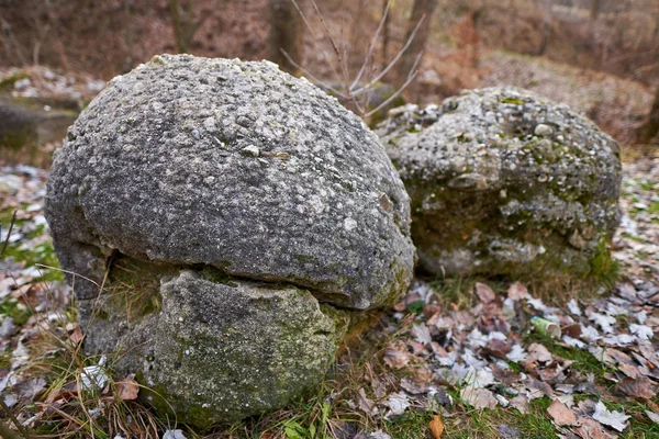 Rochers Sédimentaires Concrétions Dans Parc Naturel Roumanie — Photo