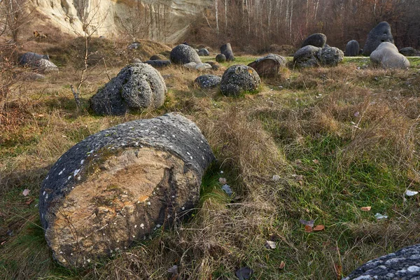 Rochers Sédimentaires Concrétions Dans Parc Naturel Roumanie — Photo