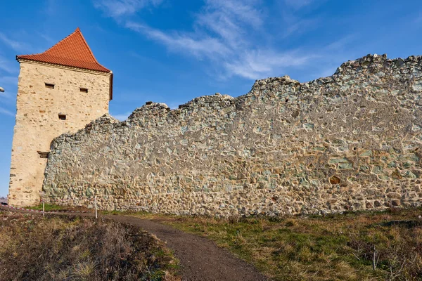 Forteresse Médiévale Style Gothique Avec Murs Pierre — Photo