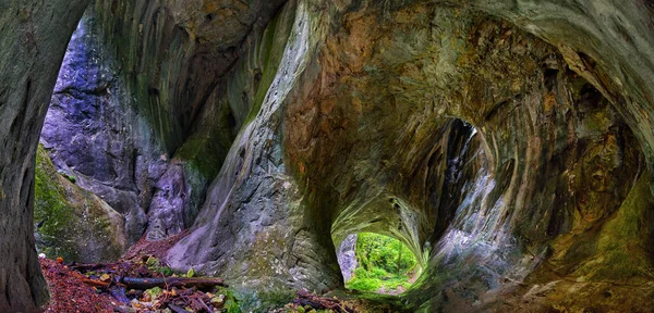 Portile Bihorului Cave Apuseni Natural Park Romania — 스톡 사진