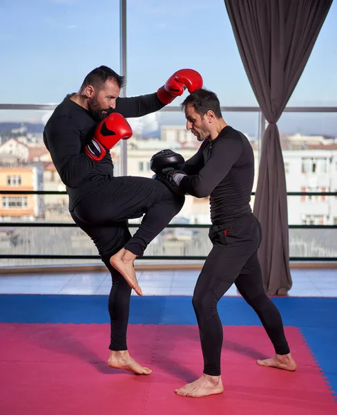 Kickboxer Golpeando Almohadillas Con Entrenador Gimnasio —  Fotos de Stock