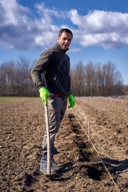 Çiftçi lavanta tarlasında çalışıyor.