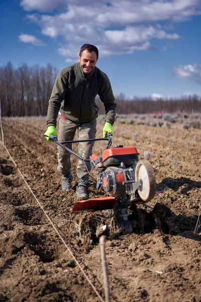 Farmer Weeding Motorized Tiller Lavender Field — Stock Photo, Image