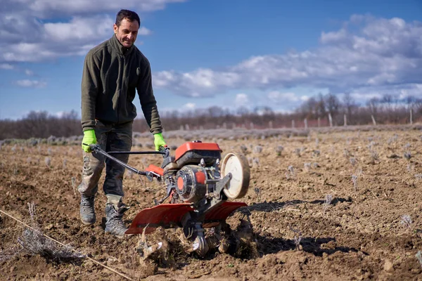 Landwirt Jätet Mit Einer Motorisierten Bodenfräse Auf Einem Lavendelfeld — Stockfoto