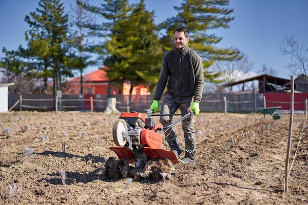 Farmer Weeding Motorized Tiller Lavender Field — Stock Photo, Image