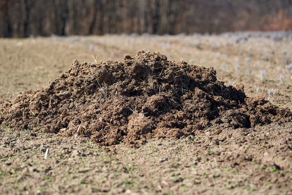 Pile Dung Field Fertilizer — Stock Photo, Image