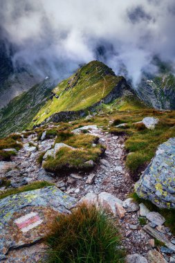 Romanya 'daki Karpatlar' la yaz aylarında manzara