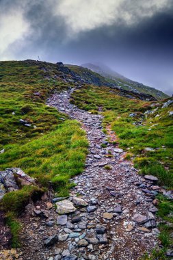 Romanya 'daki Karpatlar' la yaz aylarında manzara