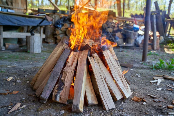 Läger Eld För Grill Gjord Med Ved — Stockfoto
