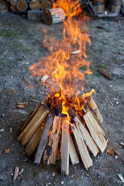 Feu Camp Pour Barbecue Bois Chauffage — Photo