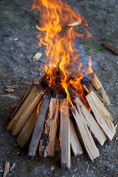 Camp Fire Barbecue Made Firewood — Stock Photo, Image