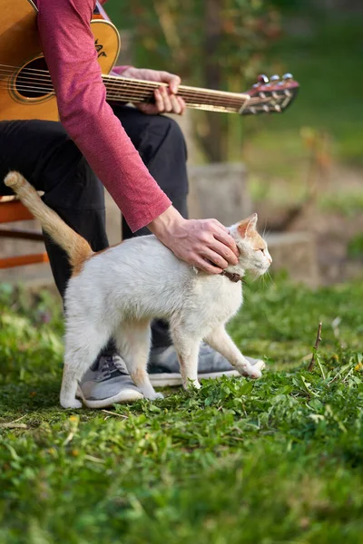 Ung Man Med Gitarr Petting Sin Katt Utomhus — Stockfoto