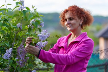 Güzel kıvırcık saçlı kadın leylak çalılığında
