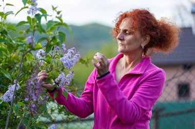 Güzel kıvırcık saçlı kadın leylak çalılığında