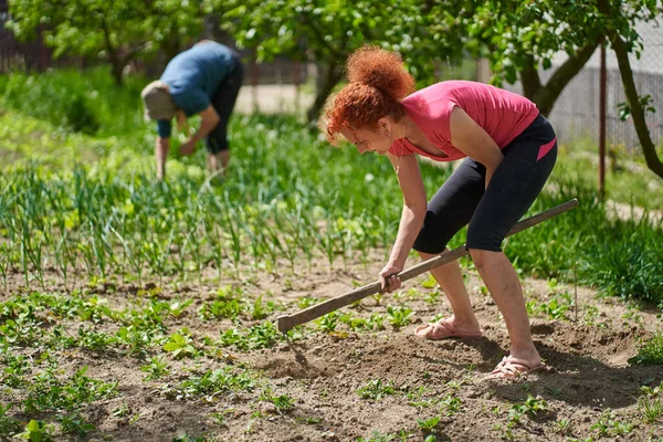 Kvinna Som Arbetar Trädgården Med Sin Mor Plantera Olika Grönsaker — Stockfoto