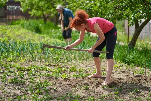 Kobieta Pracuje Ogrodzie Matką Sadząc Różne Warzywa — Zdjęcie stockowe