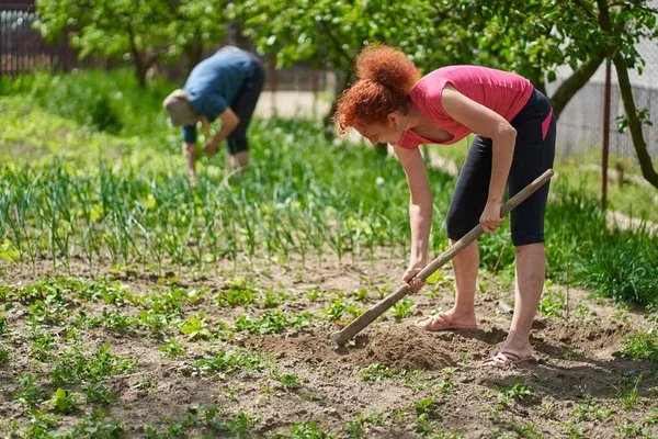 Kvinna Som Arbetar Trädgården Med Sin Mor Plantera Olika Grönsaker — Stockfoto