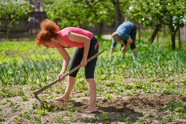 Γυναίκα Που Δουλεύει Στον Κήπο Μητέρα Της Φυτεύοντας Διάφορα Λαχανικά — Φωτογραφία Αρχείου