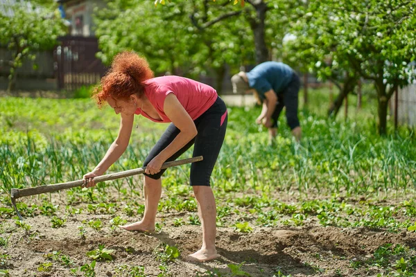 Kobieta Pracuje Ogrodzie Matką Sadząc Różne Warzywa — Zdjęcie stockowe