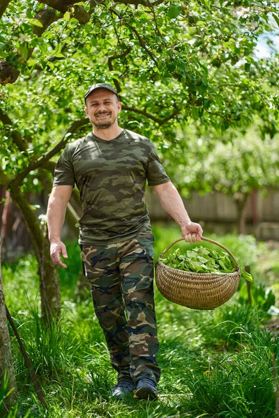 庭のリンゴの木を通ってオラッシュ フランスのほうれん草 のバスケットを運ぶ幸せな農家 — ストック写真