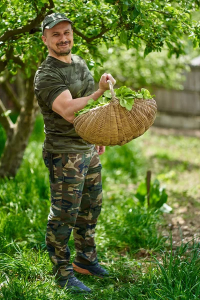 快乐的农民提着一篮兰花穿过花园里的苹果树 — 图库照片