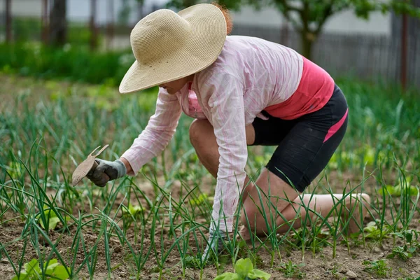 Sebze Bahçesindeki Çiftçi Kadın Yabani Otları Ayıklıyor Yetiştiriyor — Stok fotoğraf