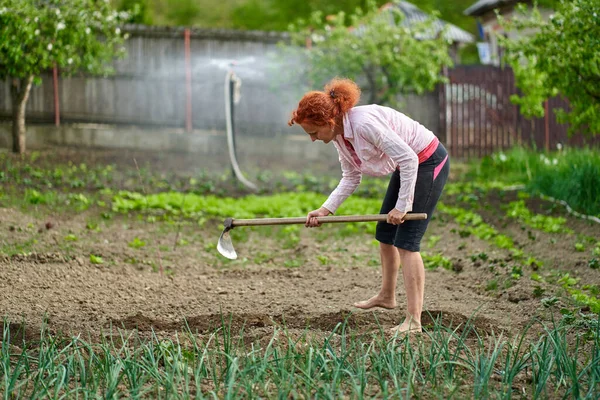 Женщина Фермер Мотыгой Работающей Саду — стоковое фото