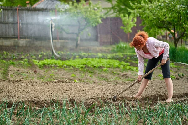 Vrouwelijke Boer Met Een Schoffel Aan Het Werk Tuin — Stockfoto