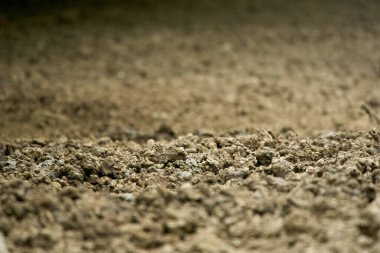 Seçici odak ve telif alanı olan verimli toprak