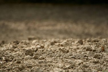 Seçici odak ve telif alanı olan verimli toprak