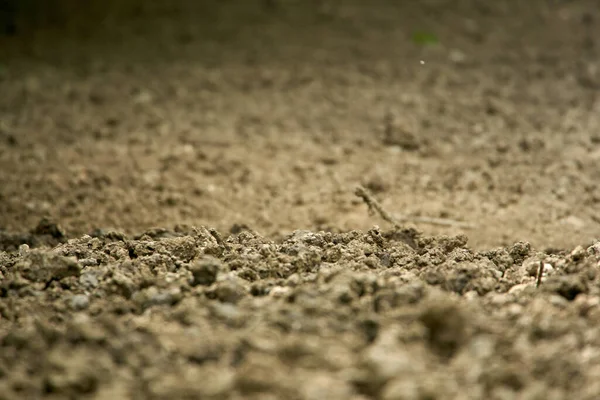 選択的焦点とコピースペースに近い肥沃な土壌 — ストック写真