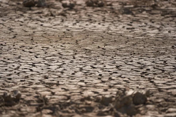 炎热夏季干裂土壤的封堵 — 图库照片