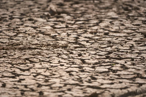 炎热夏季干裂土壤的封堵 — 图库照片