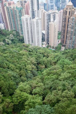 Hong Kong cityscape pik üzerinden