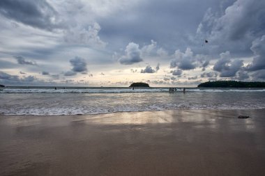 plaj ve tropikal deniz