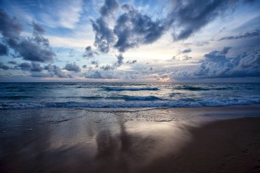 plaj ve tropikal deniz