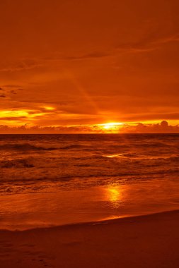 plaj ve tropikal deniz