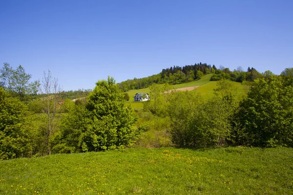 草甸在美丽的绿色山森林附近在波兰 — 图库照片