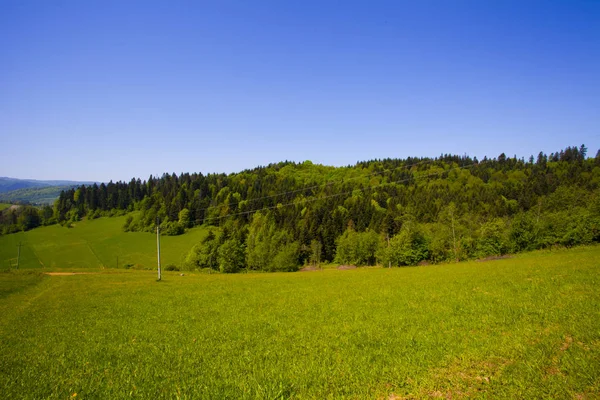 Meadow Beautiful Green Mountain Forest Poland — Stock Photo, Image