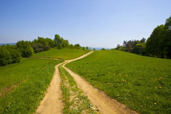 Road Meadow Beautiful Green Mountain Forest Poland — Stock Photo, Image