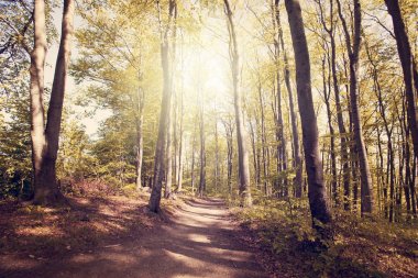 Bieszczady Dağlar, Polonya, Avrupa'nın yaz günbatımı