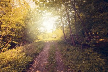 Bieszczady Dağlar, Polonya, Avrupa'nın yaz günbatımı