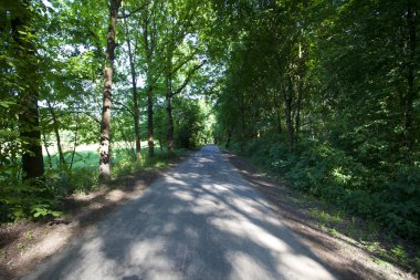 Dağlar, Bieszczady Dağlar, Polonya Avrupa'nın orman ile peyzaj