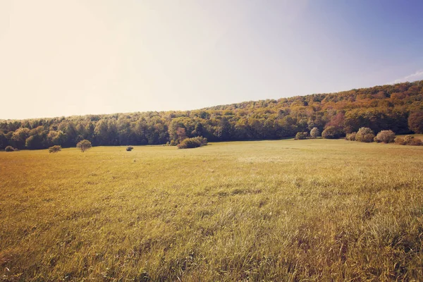 Landscape Mountains Bieszczady Mountains Poland Europe — Stock Photo, Image