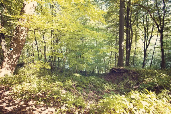 Paisagem Montanhas Bieszczady Mountains Polônia Europa — Fotografia de Stock