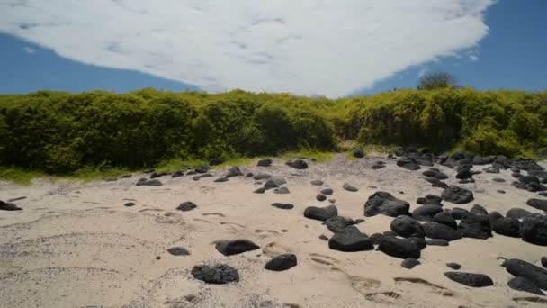 Isla natural playa costa paisaje medio ambiente — Vídeo de stock