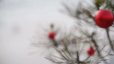 Noel çam ağacı ve kırmızı önemsiz şey kış slayt kamyon fotoğraf