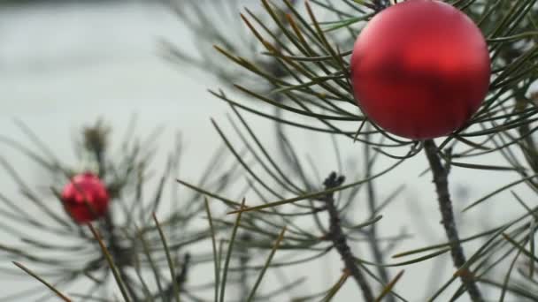 Openlucht Kerstboom pine en vakantie ornament sluiten omhoog in de winter — Stockvideo